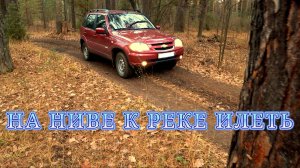 НА НИВЕ К РЕКЕ ИЛЕТЬ. НОЯБРЬ 2025