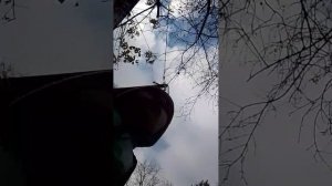 к подругам в гости