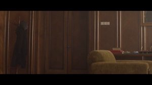 «Дорогой Вилли» — отрывок