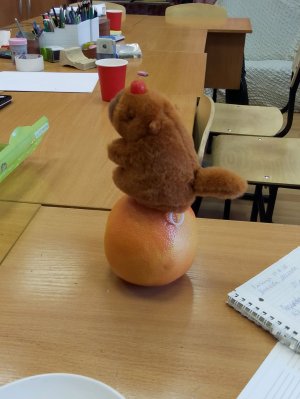 прошу не бей тапком