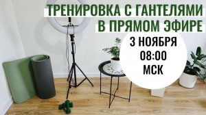 Упражнения с гантелями / Укрепление мышц /Профилактика остеохондроза, остеопороза, саркопении