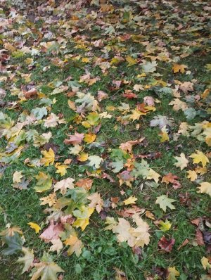 пьяные игры