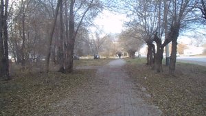 ОСЕНЬ НА ДВОРЕ