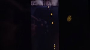 игра в miside демо версия на компьютере