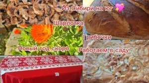 02-11-2025 Переезд из Сибири на юг 💖 /Наслаждаемся южной жизнью ☀️/Готовим вкусняшки/Работа в саду/