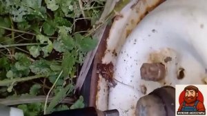 Мощный гайковерт для авто. Отзыв покупателя