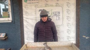 14,9 кг форелевый улов у Бориса