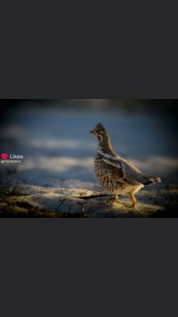 2025-11-02 смотреть онлайн