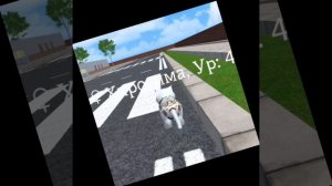 b5ce0014-69c3-4821-96f0-d847f2f5335c-1_all_7114.mp4