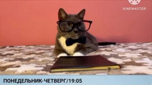 Анонс "Котинет: Хеллоуинский выпуск" (Россия-1 Варя, 31.10.2025)