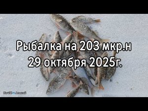 Рыбалка на 203 мкр.н