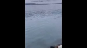 Приколы с падением