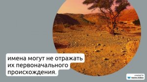 Фамилия Абрамишвили: исследуем происхождение, значение и склонение этого еврейского имени