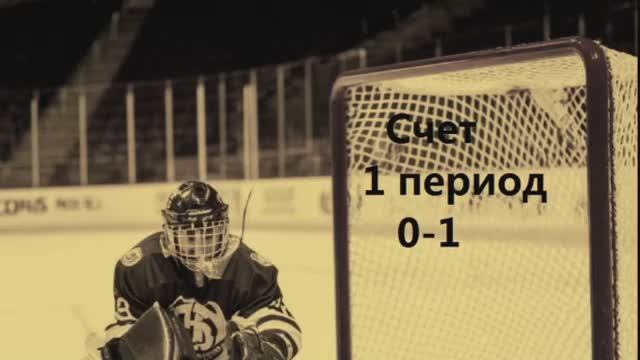 ХОККЕЙ  Салават Юлаев - Локомотив 2.11.25 в картинках