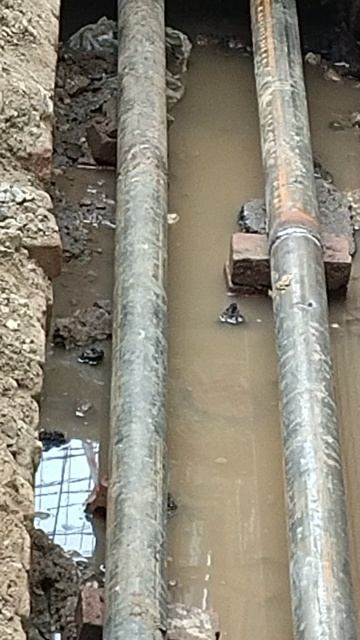 №323. Двор П. Осипенко 48. 10 апреля 2025 г., 12:53:50. VID_20250410_125305622