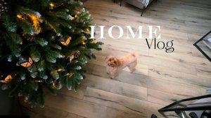 Домашний влог😋 Делимся последними новостями и событиями 🗞️