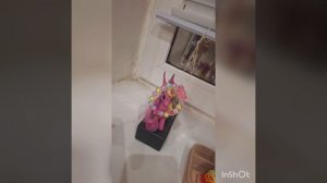 трейлир Друзья на всегда или волшебная ночь!!!😂😂😂