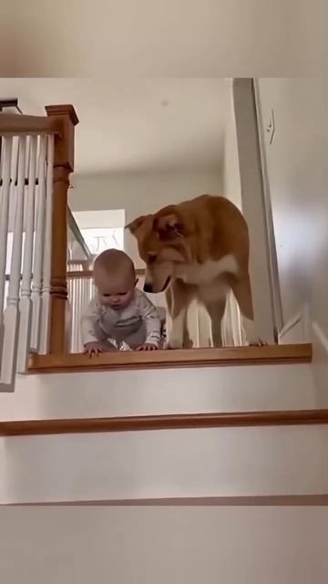 Друзья-защитники.