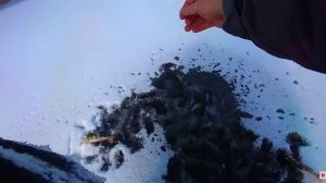 ПЕРВЫЙ ЛЁД. ИСКУПАЛСЯ И ПЕРВЫХ ОКУНЕЙ НАДЁРГАЛ!!!