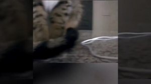 Добавляем в список покупок