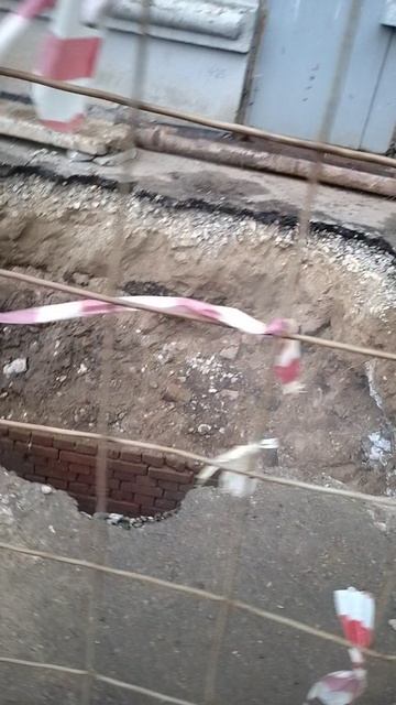 №306. Двор П. Осипенко 48. 4 апреля 2025 г., 7:38:58. VID_20250404_073754489