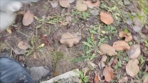 Закрыли дачу на зимовку, покупки с ВБ.