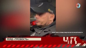 ЧП.Итоги.02.11.2025