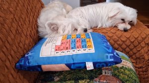 Родители солят капусту...а дети устали...отдыхают...