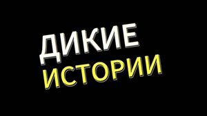 Дикие истории 30 - попытка попробовать экономить на скотче