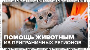 Москва отправила помощь животным из приграничных регионов - Москва 24