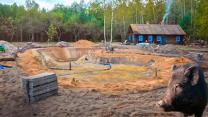 ЧЕРНИЧНИКИ , Лесная Жизнь , Возведение Водоёма , Сокращение Птицы , в Лес за Грибами