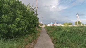 Рыбасова балка, камыши, Сальск, улица Суворова