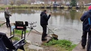 Светлые Горы Форель8 02.11.2025г.