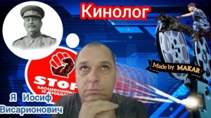 Униженные и оскорблённые мошенники расползлись по норам. Дрессировка мошни от автора Андрей Кинолог.