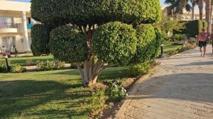 Jбзор территории в отеле Labranda Royal Makadi 5*