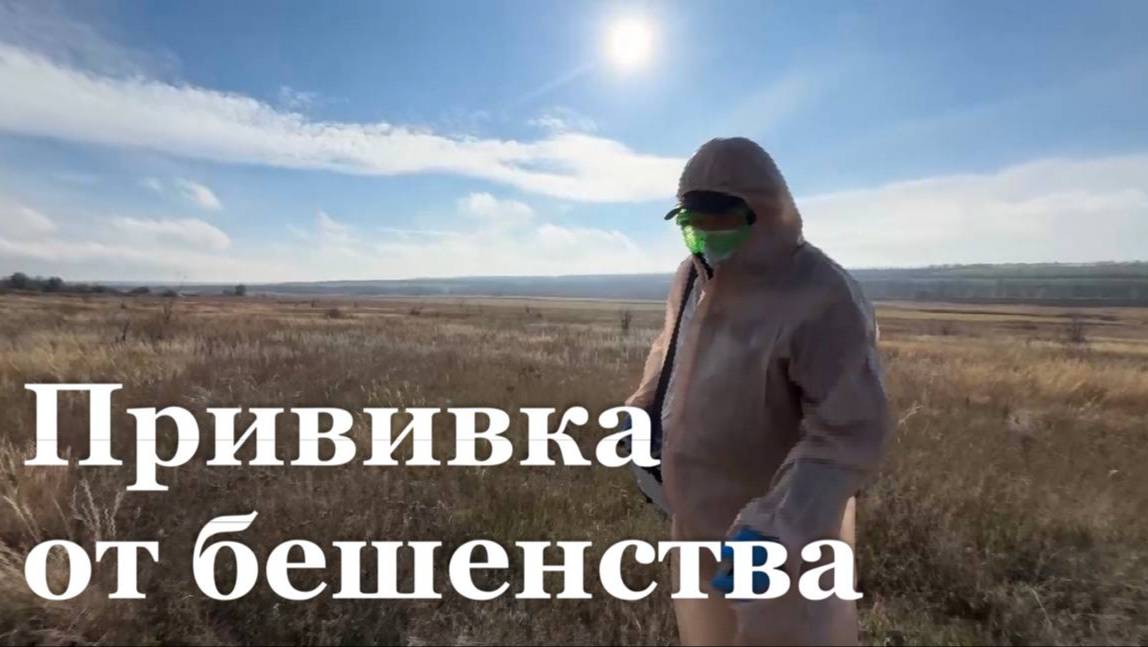 Итоговый репортаж.  В ЛНР стартовала осенняя иммунизация диких животных от бешенства