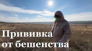 Итоговый репортаж. В ЛНР стартовала осенняя иммунизация диких животных от бешенства