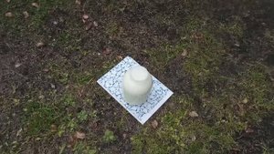 Вот так и живём...