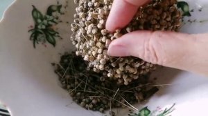 Свои семена лука-порея 🙏