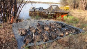 2012-2013 Ностальжи