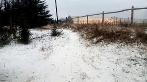 Начало зимы