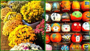 Посуда в золотом яблоке 🍏/ Магазин Фамилия 💜 новинки/ Прогулка