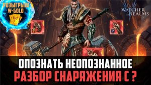 РАЗБОР НЕОПОЗНАННОГО СНАРЯЖЕНИЯ | КАКОЕ ОСТАВЛЯТЬ? #watcherofrealms