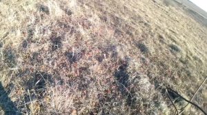 Коп Металлом 25/10/2025г, Ишем новые места, часть 2