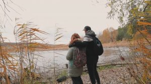 Осенний сосновый лес после дождя