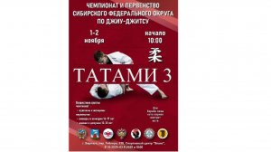 ТАТАМИ 3 камера 2