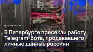В Петербурге пресекли работу Telegram-бота, продававшего личные данные россиян
