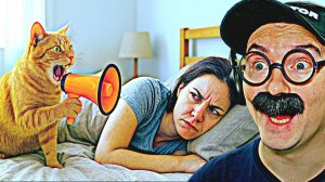 100 САМЫХ СМЕШНЫХ ВИДЕО (5 Выпуск)