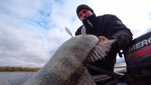 Ушёл от всех, а тут раздача! Рыбалка на великой реке Дон.