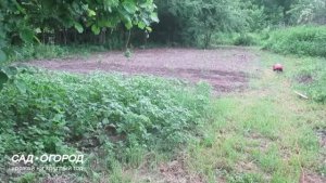 Грядки своими руками